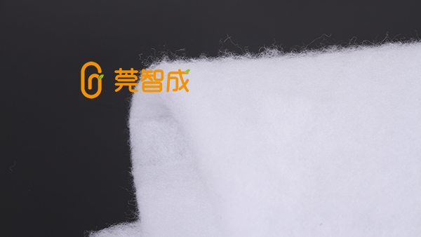 無膠棉廠智成纖維，品牌彰顯實力