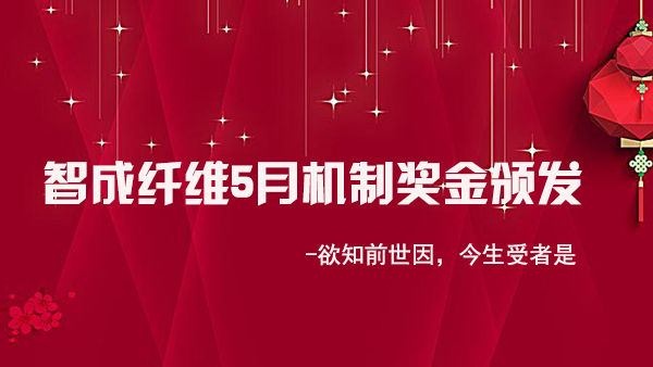 智成纖維5月業(yè)績有新高-欲知前世因，今生受者是